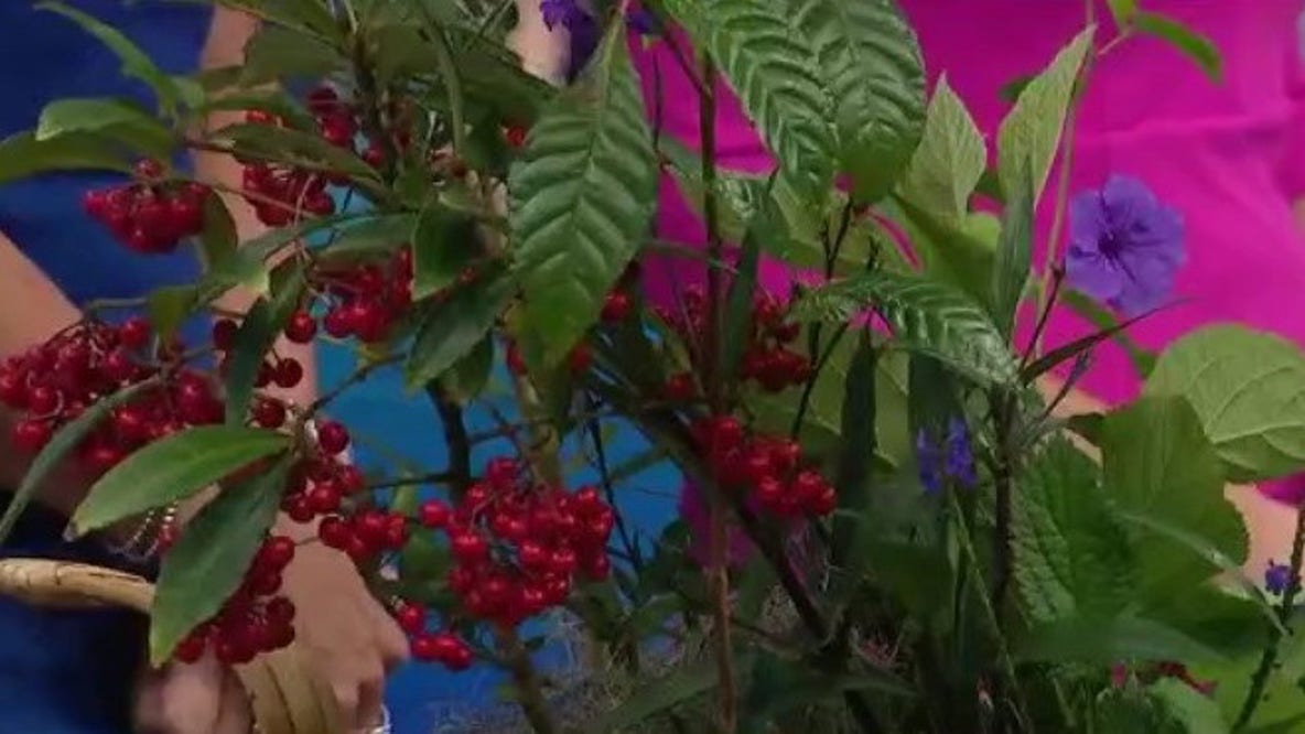 Learn how to plant like a Floridian